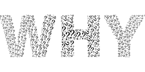 Mehr über den Artikel erfahren Warum ist für ein Unternehmen das „Warum“ wichtiger (als das „Was“ oder „Wie“)?