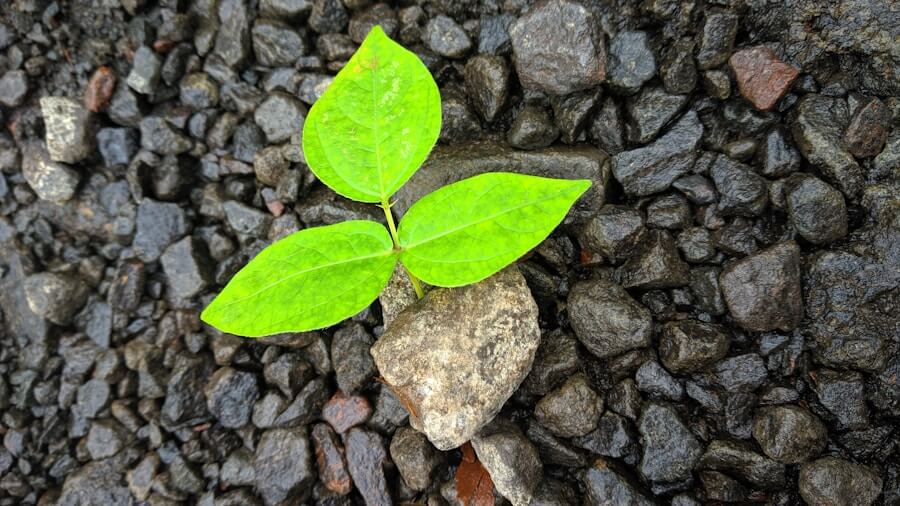 Lead Nurturing: Wie du deine Interessenten pflegst 2
