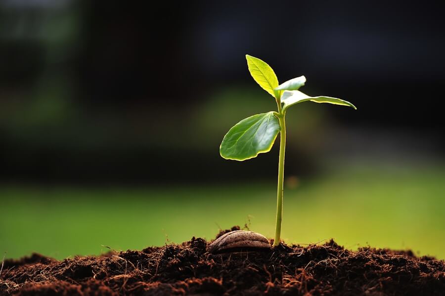 Mehr über den Artikel erfahren Lead Nurturing: Wie du deine Interessenten pflegst