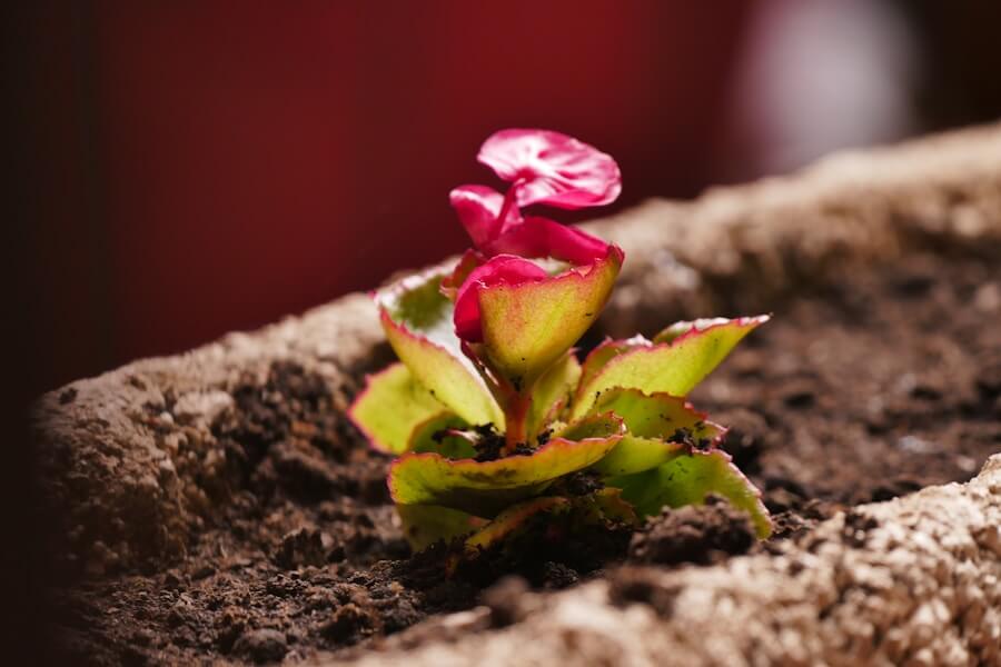 Lead Nurturing: Wie du deine Interessenten pflegst 3