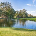 Neuromarketing im Social Media: Inhalte, die emotional geteilt werden