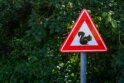 Mehr über den Artikel erfahren Vom Reiz zur Handlung: So lenkst Du Aufmerksamkeit subtil und wirksam