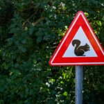 Vom Reiz zur Handlung: So lenkst Du Aufmerksamkeit subtil und wirksam