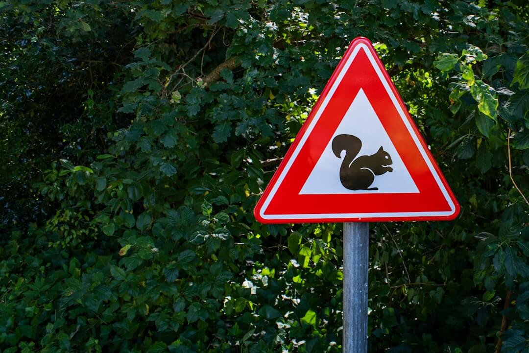 Mehr über den Artikel erfahren Vom Reiz zur Handlung: So lenkst Du Aufmerksamkeit subtil und wirksam